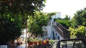 A garden outside Traditional house in Akamatra square