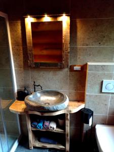 a bathroom with a sink and a mirror at Brunarica Biopark -Log house Biopark in Grosuplje