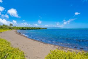 a sandy beach with the ocean and trees in the background at Wavecrest in Kaunakakai