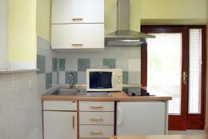 een keuken met een wastafel en een magnetron bij DINO Studio and Room Apartments in Portorož