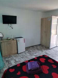 Kuchyň nebo kuchyňský kout v ubytování Casa Andrei A