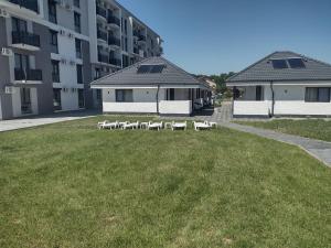 a group of chairs sitting in the grass next to a building at Bungalow Terra Kordu in Baile Felix