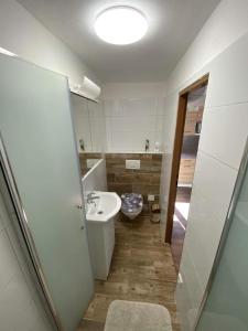 a bathroom with a sink and a toilet at Vinný sklep u Mňa in Mutěnice