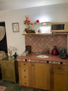 encimera de cocina con fregadero y microondas en צימר מאיה, en Ani'am