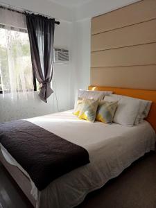 1 dormitorio con 1 cama grande y ventana en Natalie's Villa, en Iloilo City
