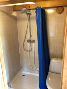 a shower with a blue shower curtain next to a toilet at Merejussi Puhkemajad in Pärna