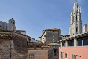 ジローナにあるApartamento Francesc Samsó Gironaの大聖堂を背景にした一群の建物
