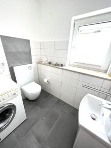 a bathroom with a toilet and a sink and a washing machine at Ferienwohnung im Zeegenbachtal in Strullendorf