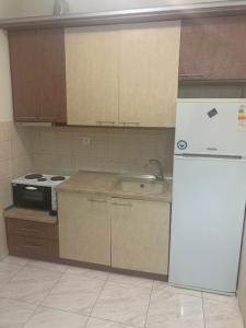 a kitchen with a white refrigerator and a stove at Elin Loft Rooms in Flogita