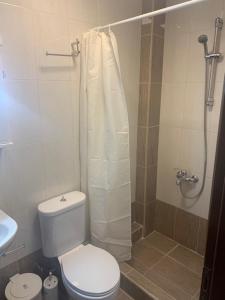 a bathroom with a white toilet and a shower at Elin Loft Rooms in Flogita