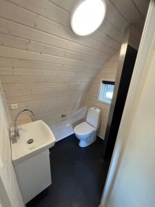 a small bathroom with a toilet and a sink at SportsPark Blaavandshuk Resort in Oksbøl