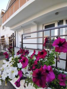 a bunch of pink and white flowers on a balcony at Venera apartman in Ploča