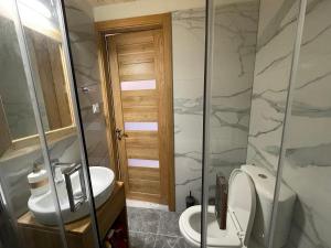a bathroom with a toilet and a sink and a shower at Anastasia’s Apartment in Sinarádes