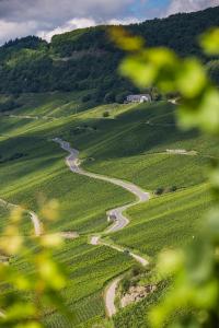 a winding road in the middle of a green field at Kettern Urlaub in Piesport