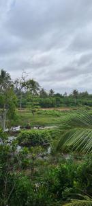 a field with palm trees and a field of water at Ja-Elas French Touch in Ja-Ela