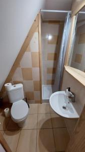 Kúpeľňa v ubytovaní Zakodomki Apartement Pyzdra