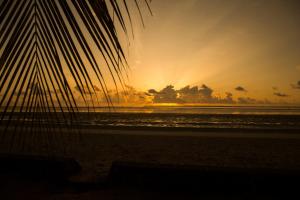 um pôr do sol na praia com uma palmeira em Antonio Beach Tree House Hotel & Spa em Uroa