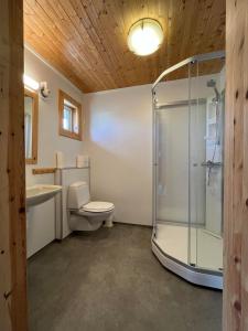 a bathroom with a shower and a toilet and a sink at Toppøy Rorbuer in Reine