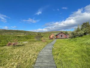 een houten pad door een veld met een huis bij Dalsmynni in Blaskogabyggd