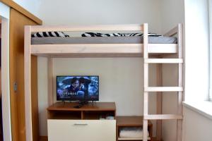 TV a/nebo společenská místnost v ubytování Family home Lipno Lake, Airstay Lipno