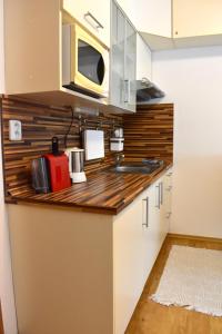 Kuchyň nebo kuchyňský kout v ubytování Family home Lipno Lake, Airstay Lipno