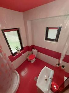 a red bathroom with a toilet and a sink at Casa Dor de Lac in Salcioara