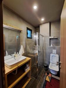bagno con lavandino, doccia e servizi igienici di Vista Cottage 2 a Ulcinj