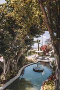 Afbeelding uit fotogalerij van Torrinha Garten Apartment in Funchal