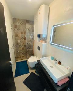ママイアにあるSea Breeze Apartments Mamaia Nord De Silvaのバスルーム(シンク、シャワー、トイレ付)