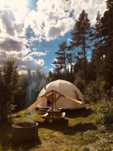 a tent sitting in the grass in a field at Frisbo Lodge - Romantic night in a dome tent lake view in Bjuråker
