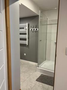 ein Bad mit einer Dusche und einer Glastür in der Unterkunft Apartamenty We Młynie in Warpuny