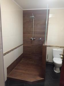 a bathroom with a toilet and a bath tub at Volyn in Volodymyr-Volynskyi