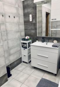 a bathroom with a sink and a mirror at Small Lake Apartman in Esztergom