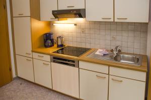 A kitchen or kitchenette at Pezza Lischa