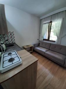 uma sala de estar com um sofá e um fogão em Elegant Residence em Çamlıhemşin