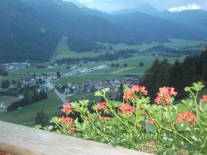 a view of a town in a valley with flowers at Steinerhof in Dobbiaco