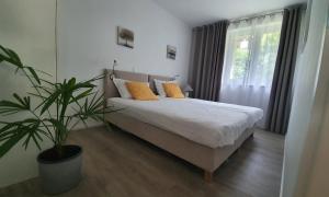 Postel nebo postele na pokoji v ubytování Divine View Apartma