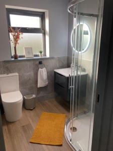 a bathroom with a shower and a toilet and a sink at Natures Rest Apartment in Doolin