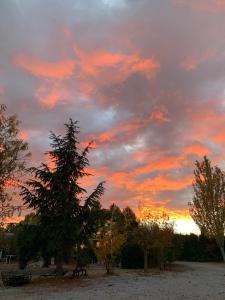 einen Sonnenuntergang mit einem Baum am Strand in der Unterkunft Casa Rural Cortijo El Helao in Pozo Alcón