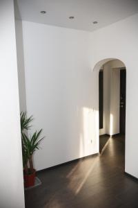a hallway with white walls and a potted plant at Meretskova Apartment in Velikiy Novgorod