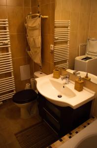 La salle de bains est pourvue d'un lavabo et de toilettes. dans l'établissement Mezonet Luhačovice, à Luhačovice