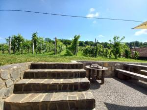 Zahrada ubytování Vineyard Cottage Maleric with Pool Access