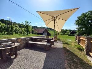 Fotografie z fotogalerie ubytování Vineyard Cottage Maleric with Pool Access v destinaci Dragatuš