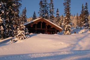 a log cabin in the snow with trees at Berghstua - Natrudstilen på Sjusjøen in Sjusjøen