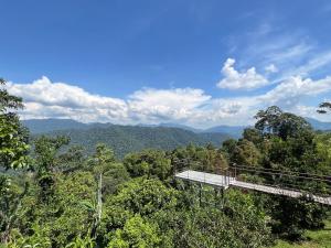 una vista sulla foresta da una teleferica nella giungla di Red House the Garden Stay in Bukit Tinggi by PLAY a Bentong