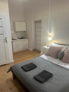 Postel nebo postele na pokoji v ubytování Apartamenty u Ewy - EUROS