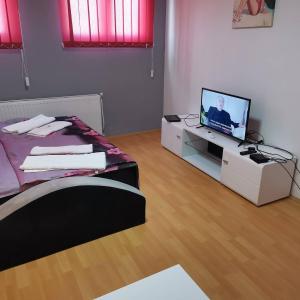 TV a/nebo společenská místnost v ubytování ViP ROOMS PRENOCISTE 026