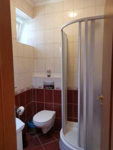 a small bathroom with a toilet and a shower at Harmónia Panzió in Sárospatak