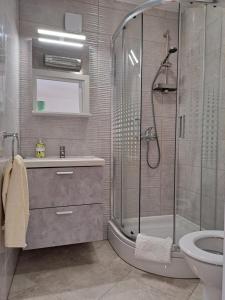 a bathroom with a shower and a sink and a toilet at Apartments Dandić in Orlec