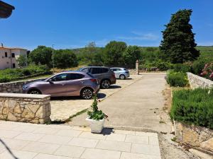 two cars parked in a parking lot with a potted plant at Apartments Dandić in Orlec